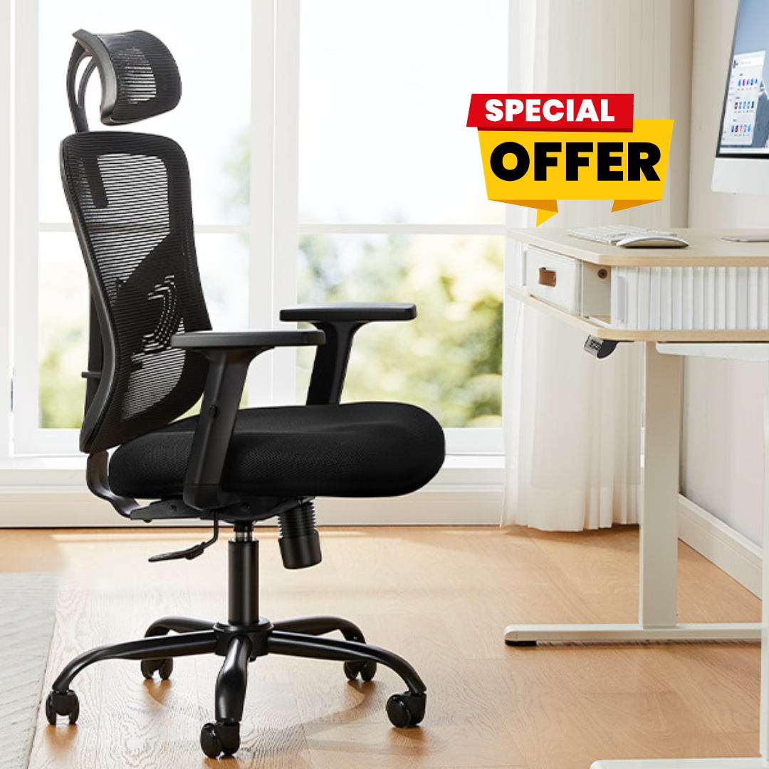 HUANUO Ergonomic Office Chair