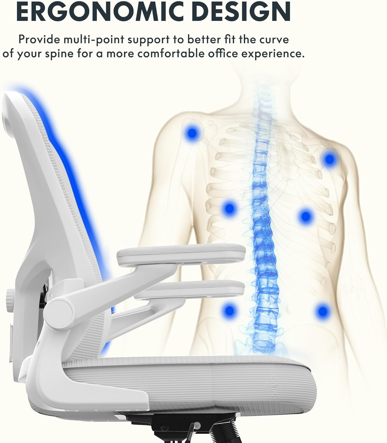 Ergonomic Chair by Flexispot