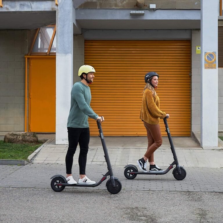 Segway Ninebot foldable electric scooter