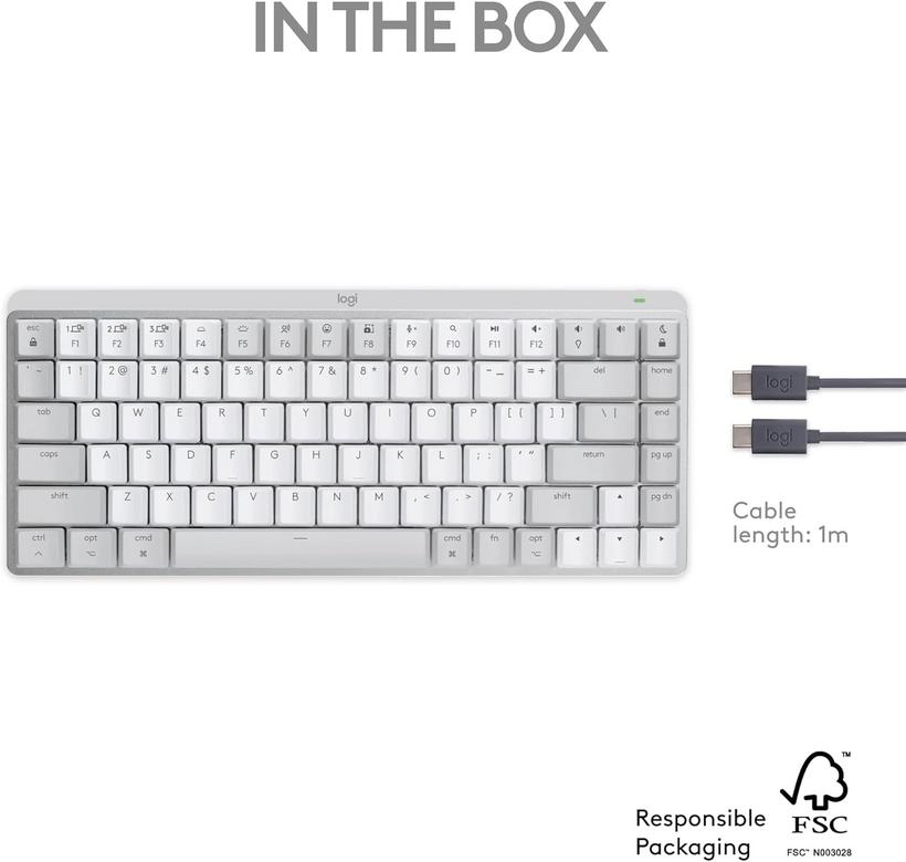 Logitech MX Mechanical Mini Mac: A Practical Keyboard Upgrade for Apple Users 1